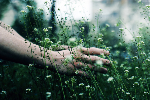 Applause by Eli&nbsp;Oko